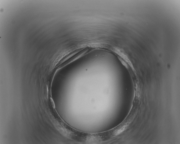 X0000063470109200601271639