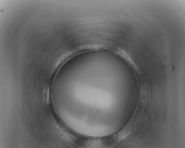 X0000063470110200601271639