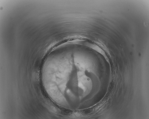 X0000063470111200601271639