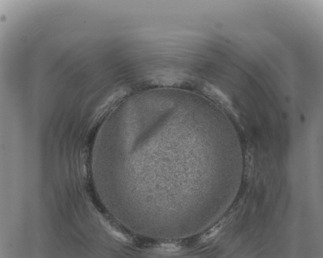 X0000063470114200601271639