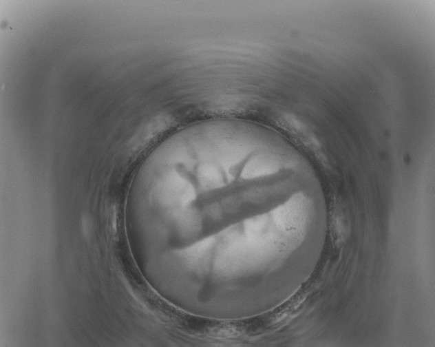 X0000063470115200601271639