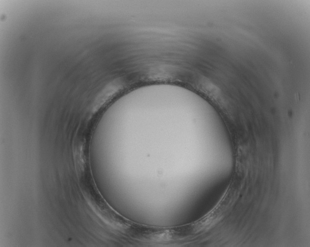 X0000063470116200601271639