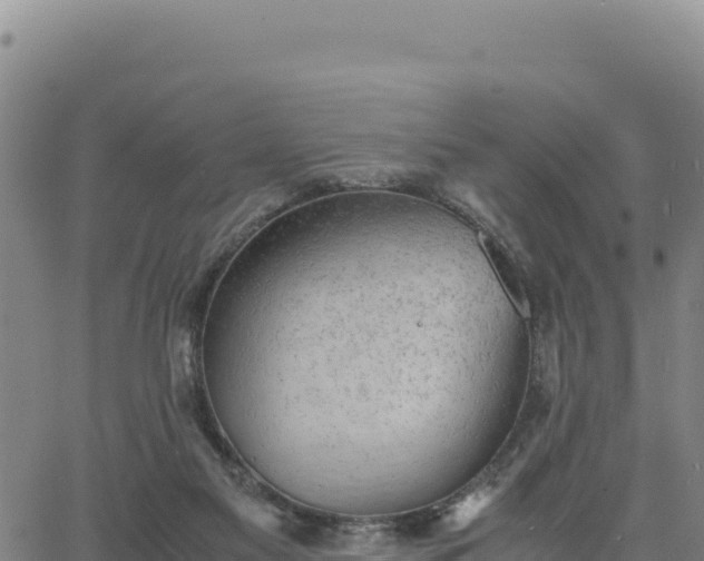 X0000063470117200601271639