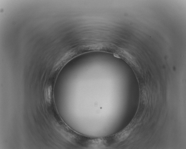 X0000063470118200601271639