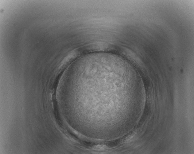 X0000063470119200601271639