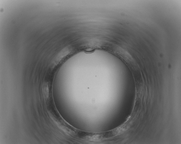 X0000063470120200601271639