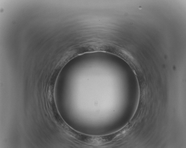 X0000063470121200601271639