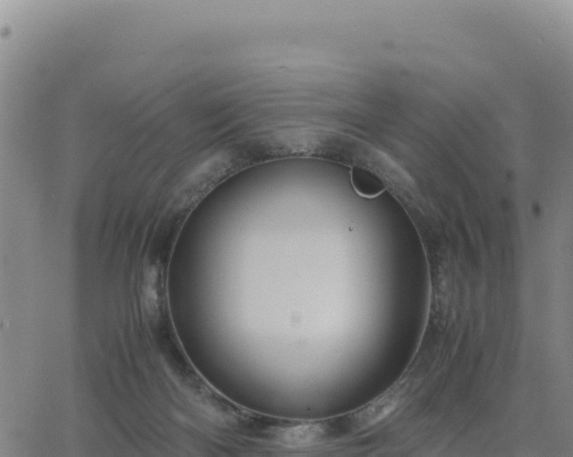 X0000063470122200601271639