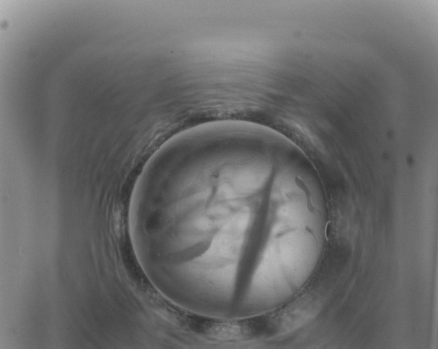 X0000063470123200601271639