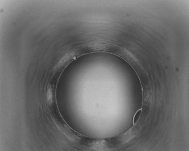 X0000063470124200601271639