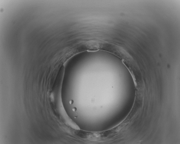 X0000063470125200601271639