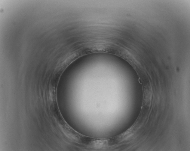 X0000063470126200601271639