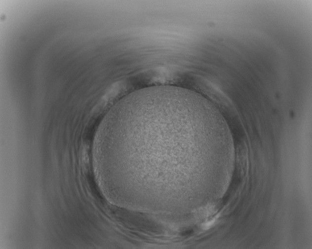 X0000063470127200601271639