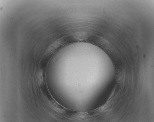 X0000063470128200601271639