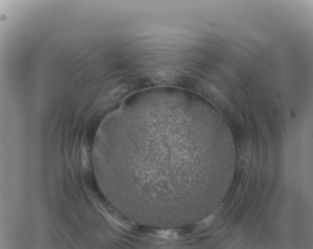 X0000063470130200601271639