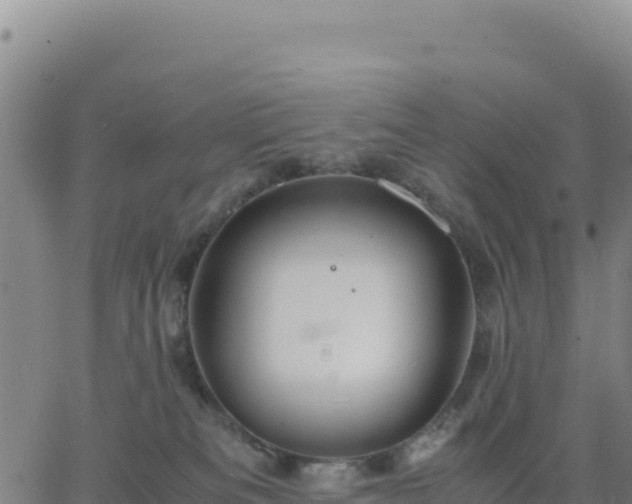 X0000063470133200601271639