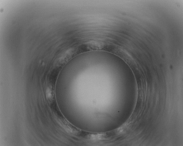 X0000063470134200601271639