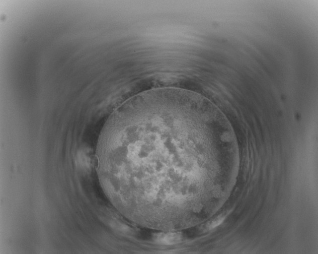 X0000063470135200601271639