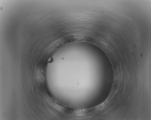 X0000063470136200601271639