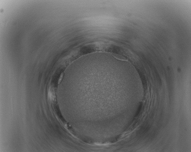 X0000063470137200601271639