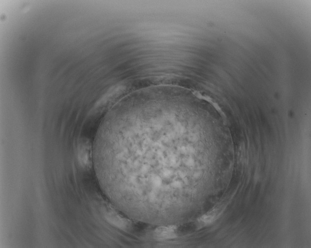 X0000063470138200601271639