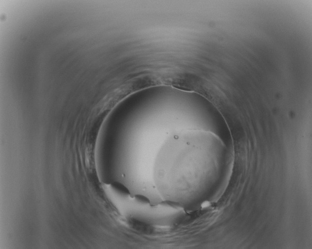 X0000063470139200601271639