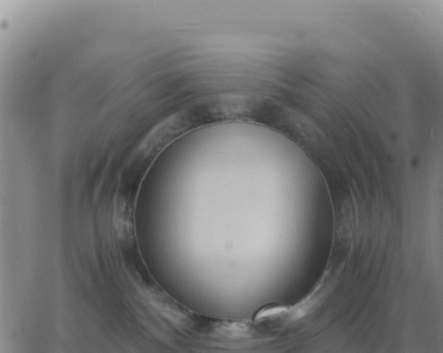 X0000063470140200601271639