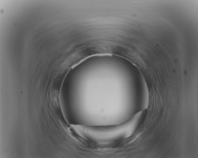 X0000063470141200601271639