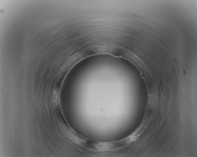 X0000063470142200601271639