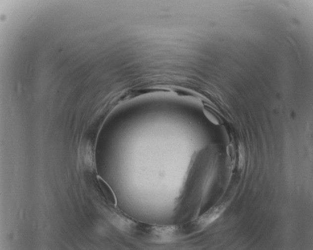 X0000063470143200601271639