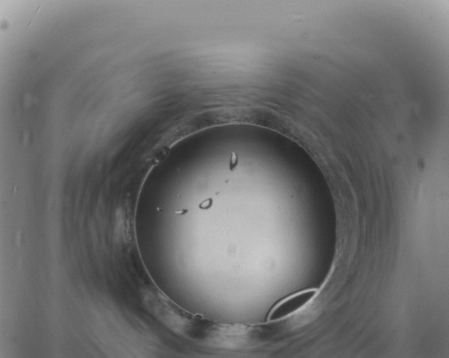 X0000063470144200601271639