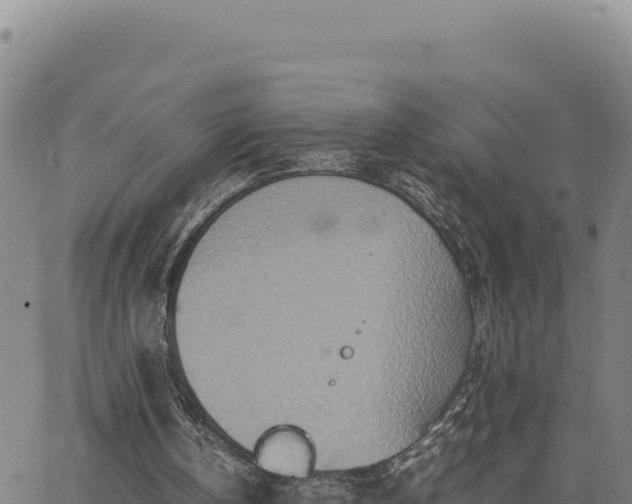 X0000063470146200601271638