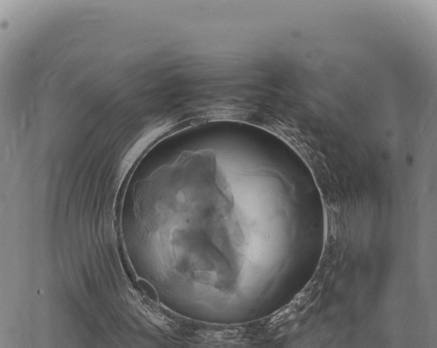 X0000063470147200601271638