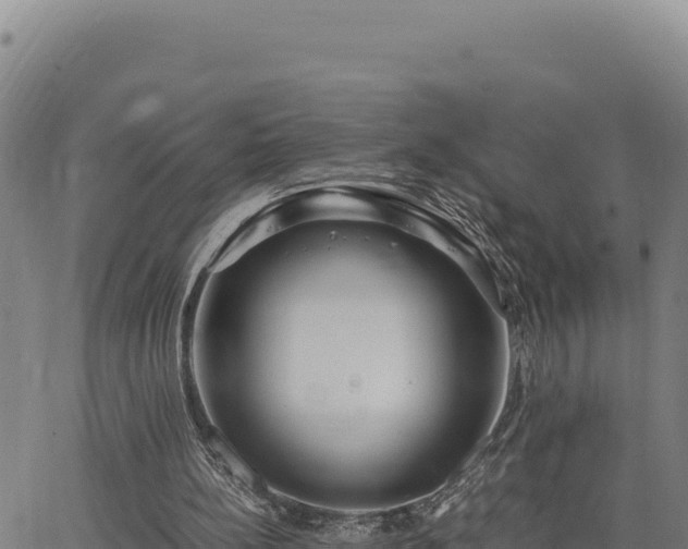 X0000063470148200601271638