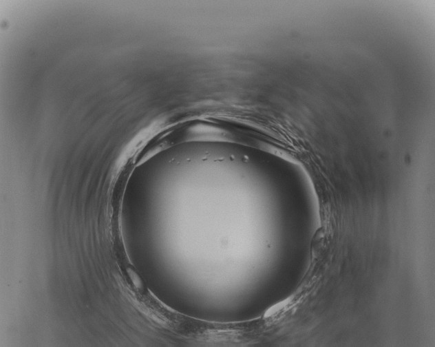 X0000063470150200601271638