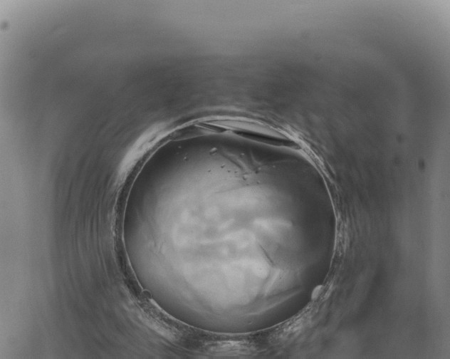 X0000063470151200601271638