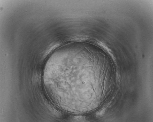 X0000063470153200601271638