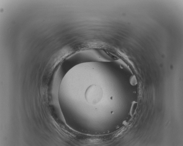 X0000063470154200601271638