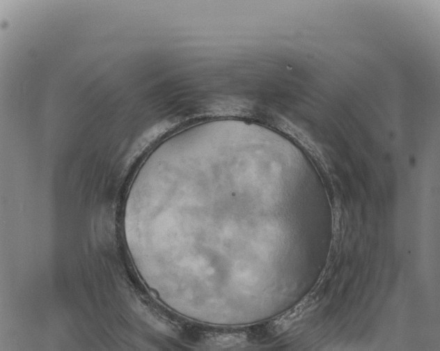 X0000063470155200601271638