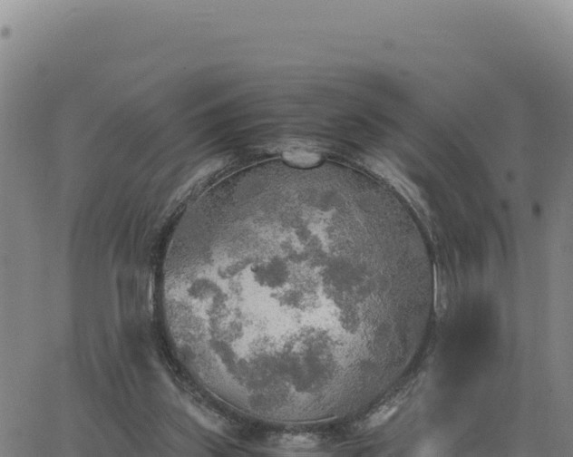 X0000063470157200601271638