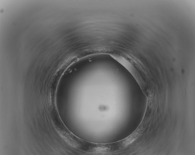 X0000063470158200601271638