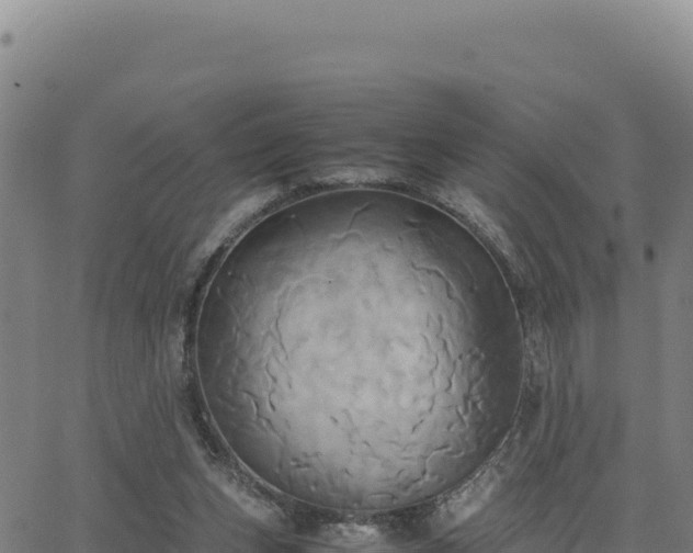 X0000063470159200601271638