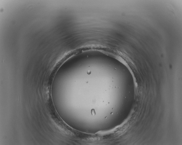 X0000063470160200601271638