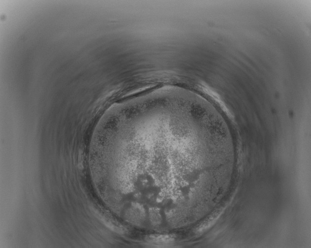 X0000063470161200601271638