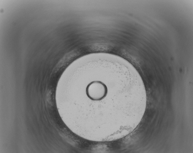 X0000063470162200601271638