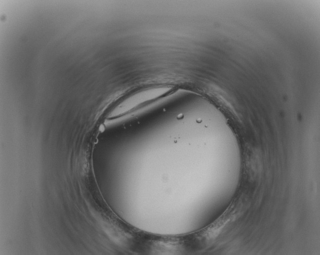 X0000063470164200601271638