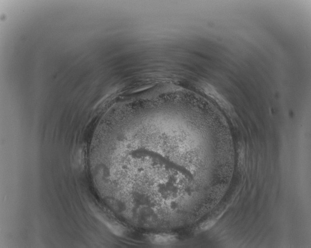 X0000063470165200601271638