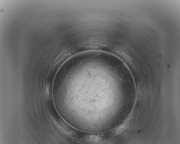 X0000063470166200601271638