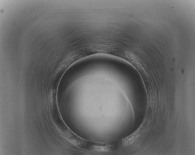 X0000063470167200601271638