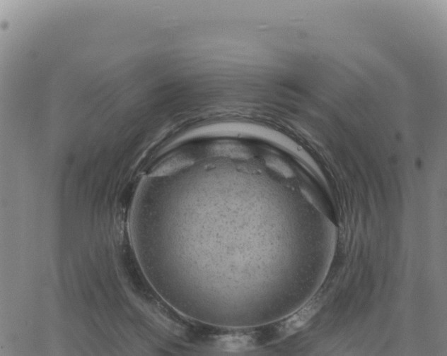 X0000063470168200601271638